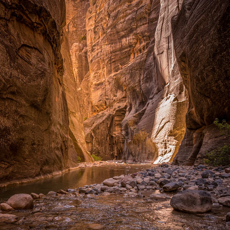 Ten Days in Zion, Bryce, and Capitol Reef National Parks